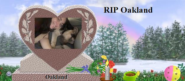 Oakland's Rainbow Bridge Pet Loss Memorial Residency Image