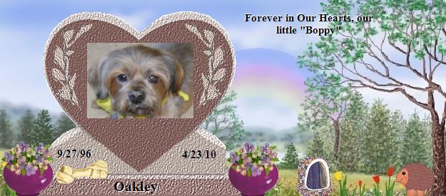 Oakley's Rainbow Bridge Pet Loss Memorial Residency Image