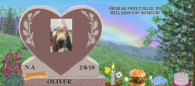 OLIVER's Rainbow Bridge Pet Loss Memorial Residency Image