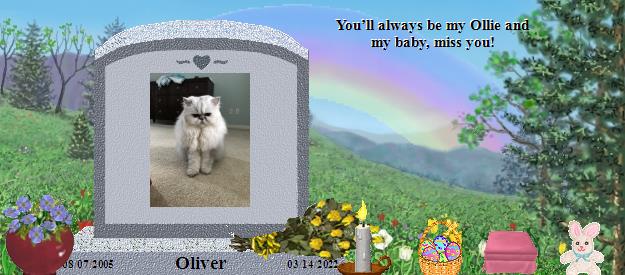 Oliver's Rainbow Bridge Pet Loss Memorial Residency Image