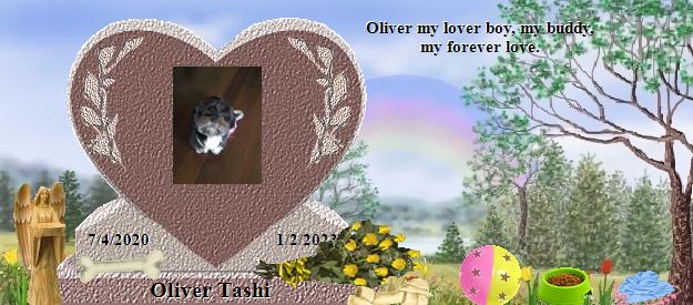 Oliver Tashi's Rainbow Bridge Pet Loss Memorial Residency Image