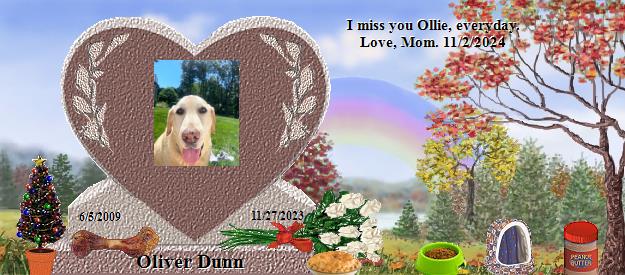 Oliver Dunn's Rainbow Bridge Pet Loss Memorial Residency Image