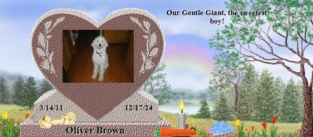 Oliver Brown's Rainbow Bridge Pet Loss Memorial Residency Image