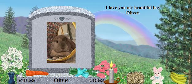 Oliver's Rainbow Bridge Pet Loss Memorial Residency Image
