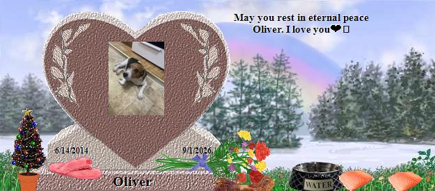 Oliver's Rainbow Bridge Pet Loss Memorial Residency Image