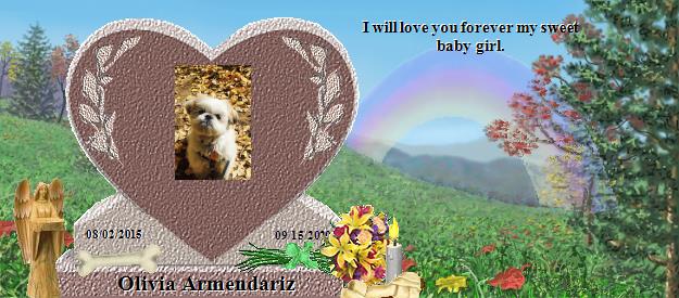 Olivia Armendariz's Rainbow Bridge Pet Loss Memorial Residency Image
