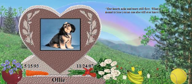 Ollie's Rainbow Bridge Pet Loss Memorial Residency Image