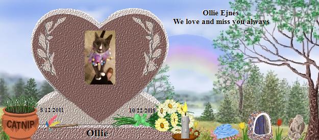 Ollie's Rainbow Bridge Pet Loss Memorial Residency Image