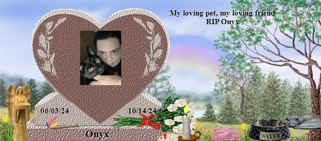 Onyx's Rainbow Bridge Pet Loss Memorial Residency Image