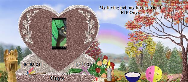 Onyx's Rainbow Bridge Pet Loss Memorial Residency Image