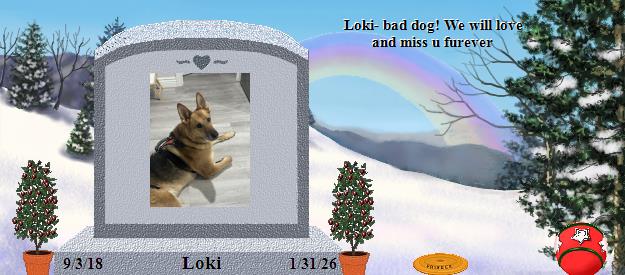 Loki's Rainbow Bridge Pet Loss Memorial Residency Image