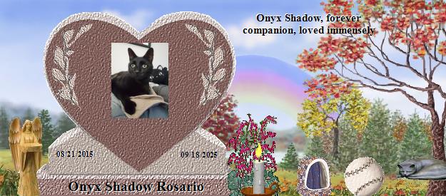 Onyx Shadow Rosario's Rainbow Bridge Pet Loss Memorial Residency Image