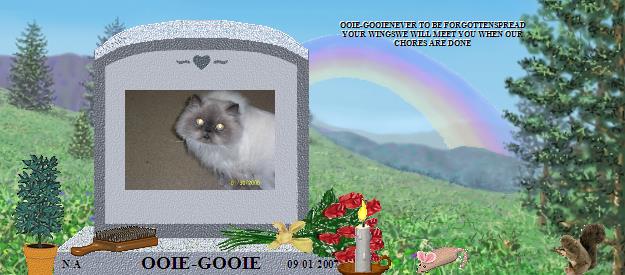 OOIE-GOOIE's Rainbow Bridge Pet Loss Memorial Residency Image