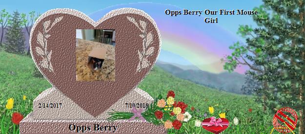 Opps Berry's Rainbow Bridge Pet Loss Memorial Residency Image
