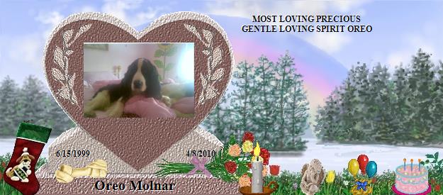 Oreo Molnar's Rainbow Bridge Pet Loss Memorial Residency Image