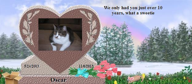 Oscar's Rainbow Bridge Pet Loss Memorial Residency Image