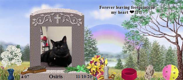 Osiris's Rainbow Bridge Pet Loss Memorial Residency Image