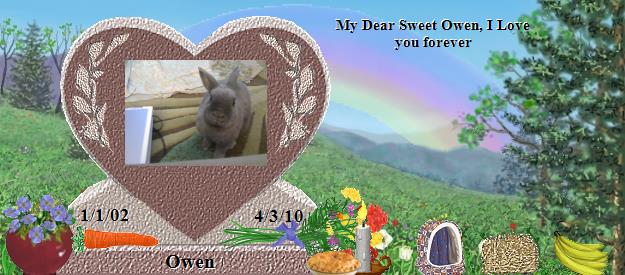 Owen's Rainbow Bridge Pet Loss Memorial Residency Image