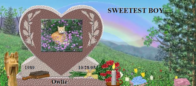 Owlie's Rainbow Bridge Pet Loss Memorial Residency Image