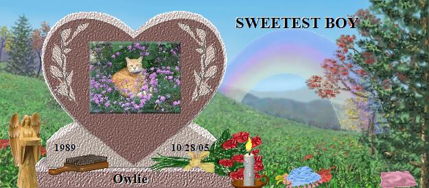 Owlie's Rainbow Bridge Pet Loss Memorial Residency Image