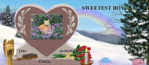 Owlie's Rainbow Bridge Pet Loss Memorial Residency Image