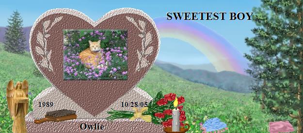 Owlie's Rainbow Bridge Pet Loss Memorial Residency Image