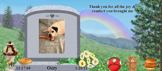 Ozzy's Rainbow Bridge Pet Loss Memorial Residency Image