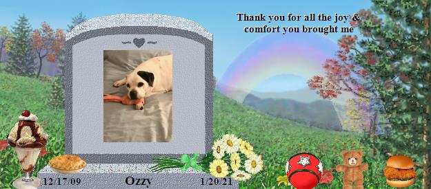 Ozzy's Rainbow Bridge Pet Loss Memorial Residency Image