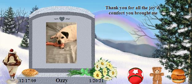 Ozzy's Rainbow Bridge Pet Loss Memorial Residency Image