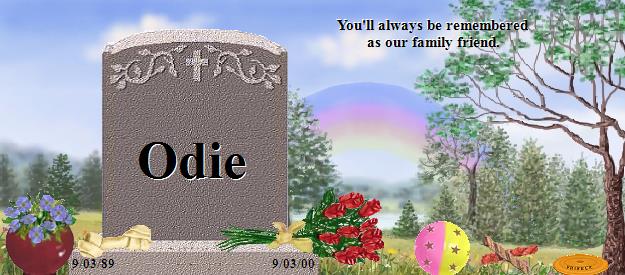 Odie's Rainbow Bridge Pet Loss Memorial Residency Image