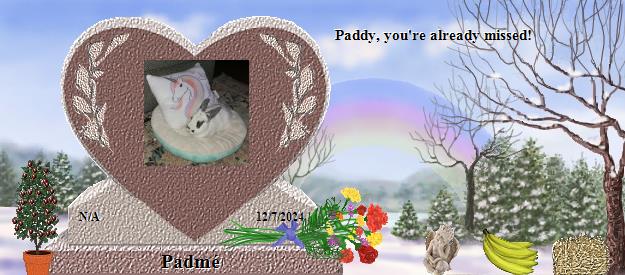 Padmé's Rainbow Bridge Pet Loss Memorial Residency Image