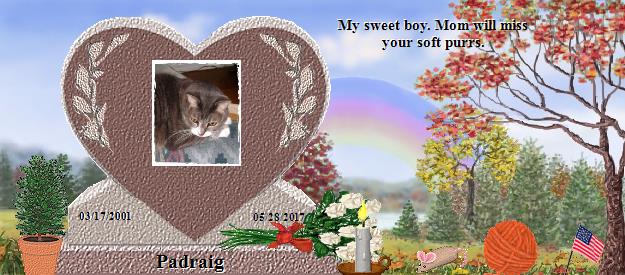 Padraig's Rainbow Bridge Pet Loss Memorial Residency Image