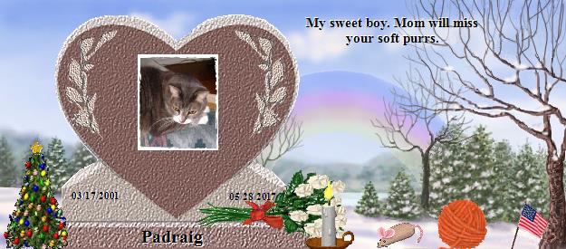 Padraig's Rainbow Bridge Pet Loss Memorial Residency Image