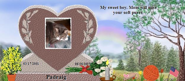 Padraig's Rainbow Bridge Pet Loss Memorial Residency Image