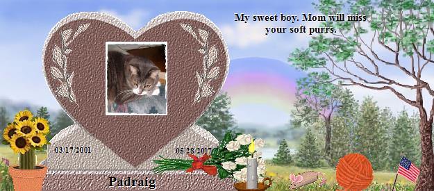 Padraig's Rainbow Bridge Pet Loss Memorial Residency Image