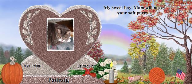 Padraig's Rainbow Bridge Pet Loss Memorial Residency Image