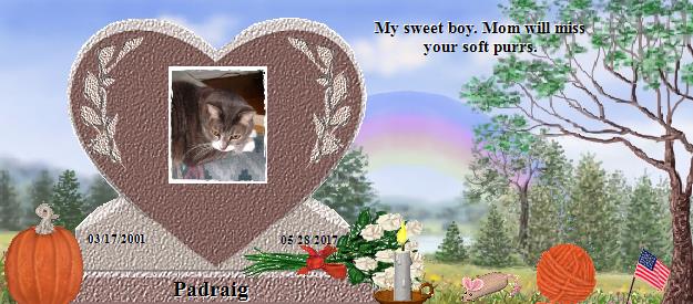 Padraig's Rainbow Bridge Pet Loss Memorial Residency Image