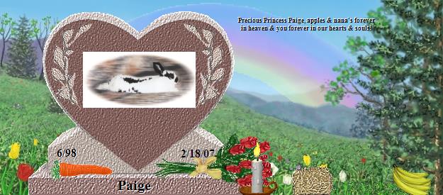 Paige's Rainbow Bridge Pet Loss Memorial Residency Image