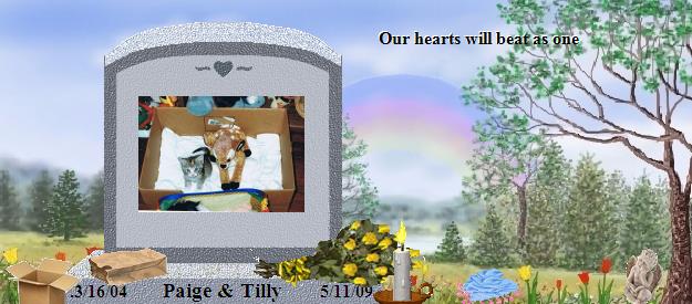 Paige & Tilly's Rainbow Bridge Pet Loss Memorial Residency Image