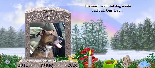 Paisley's Rainbow Bridge Pet Loss Memorial Residency Image