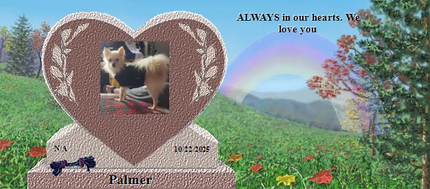 Palmer's Rainbow Bridge Pet Loss Memorial Residency Image