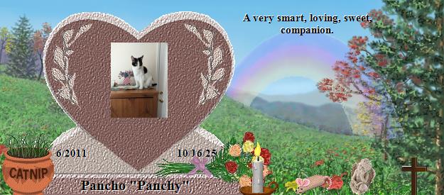 Pancho "Panchy"'s Rainbow Bridge Pet Loss Memorial Residency Image