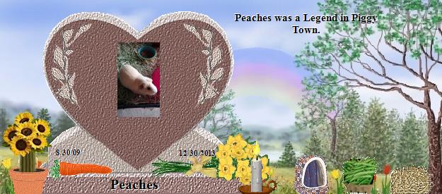 Peaches's Rainbow Bridge Pet Loss Memorial Residency Image