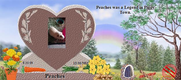 Peaches's Rainbow Bridge Pet Loss Memorial Residency Image