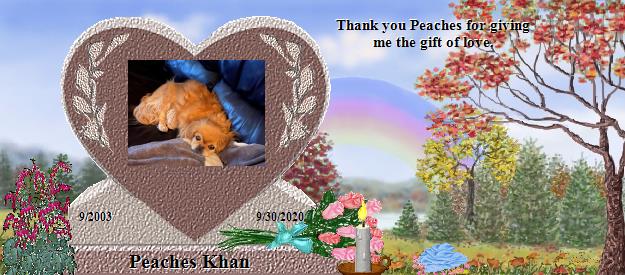 Peaches Khan's Rainbow Bridge Pet Loss Memorial Residency Image