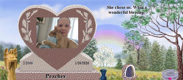 Peaches's Rainbow Bridge Pet Loss Memorial Residency Image