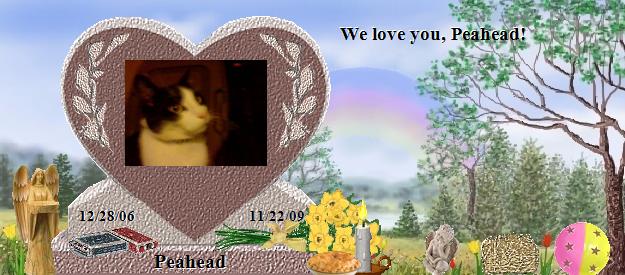 Peahead's Rainbow Bridge Pet Loss Memorial Residency Image