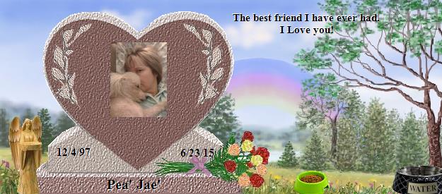 Pea' Jae''s Rainbow Bridge Pet Loss Memorial Residency Image