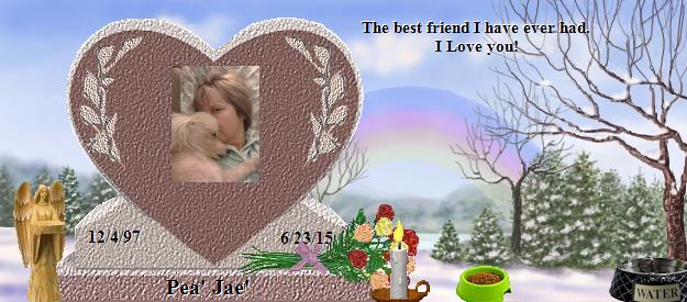 Pea' Jae''s Rainbow Bridge Pet Loss Memorial Residency Image
