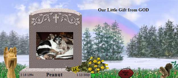 Peanut's Rainbow Bridge Pet Loss Memorial Residency Image